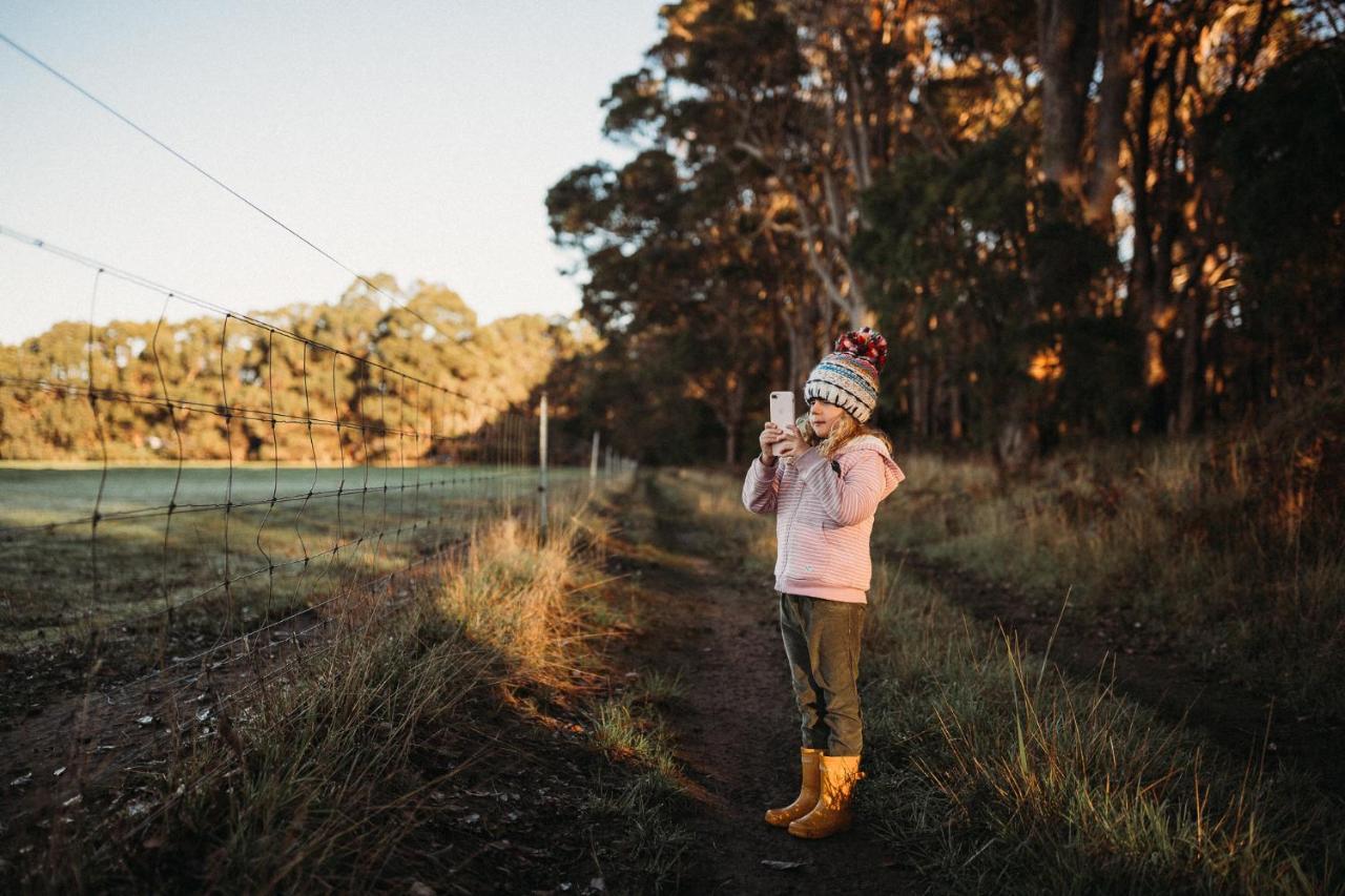 Margaret River Holiday Cottages Eksteriør billede