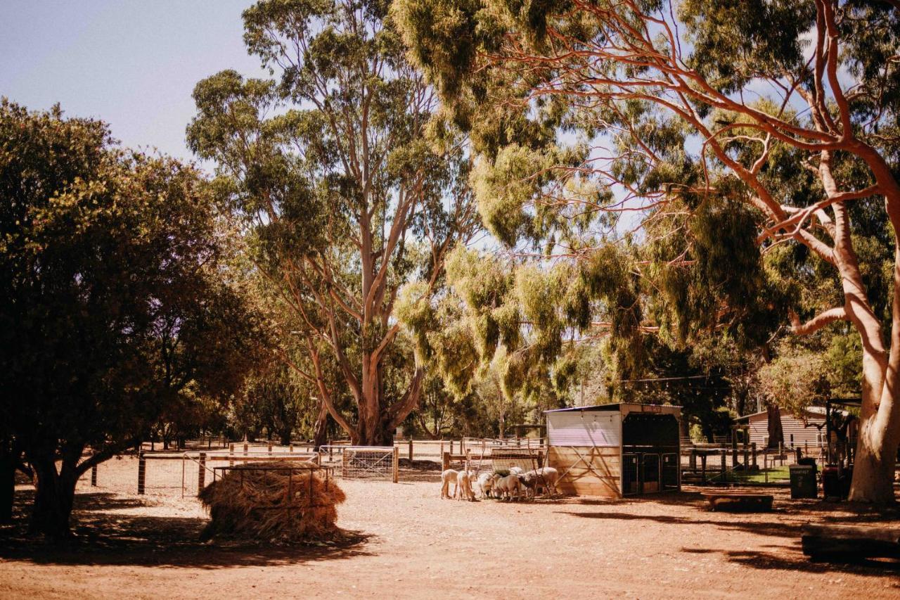 Margaret River Holiday Cottages Eksteriør billede