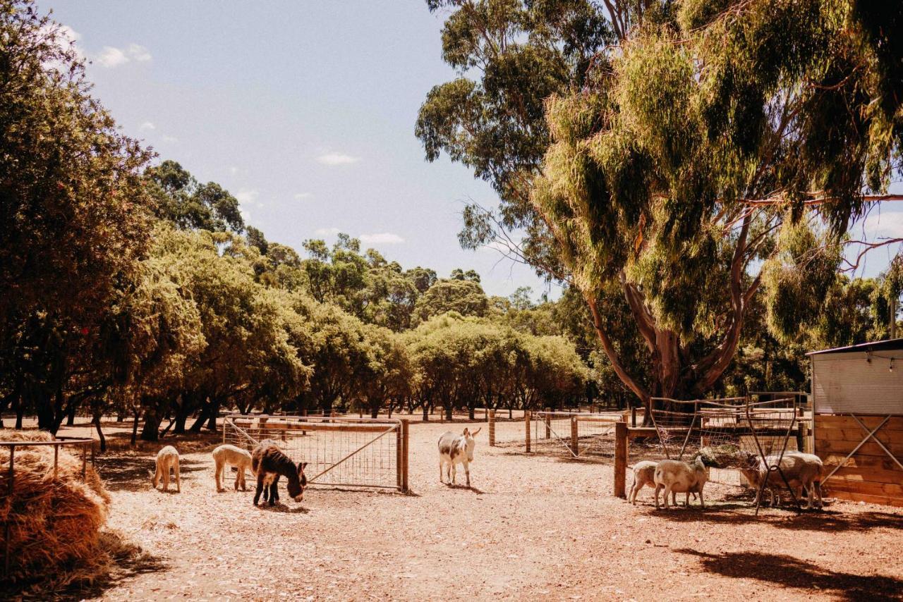 Margaret River Holiday Cottages Eksteriør billede