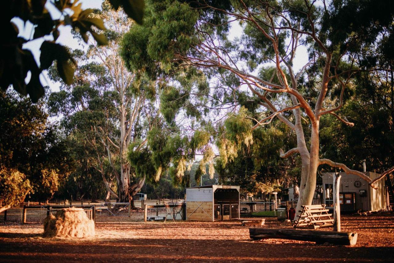 Margaret River Holiday Cottages Eksteriør billede