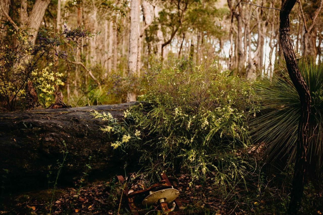 Margaret River Holiday Cottages Eksteriør billede