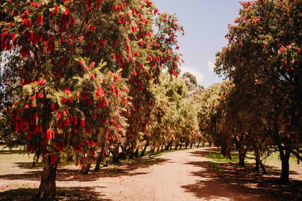 Margaret River Holiday Cottages Eksteriør billede